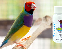 Air Sac Mites: What They Are and How to Treat Them - BirdPal Avian Products, Inc.