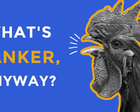The Scoop on Canker in Cage Birds, Pigeons, & Chickens - BirdPal Avian Products, Inc.
