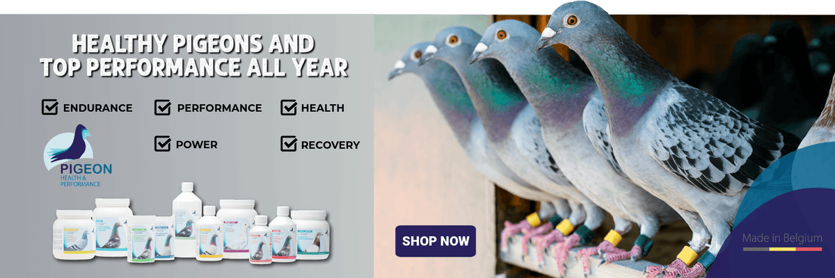Pigeon Health and Performance supplements.