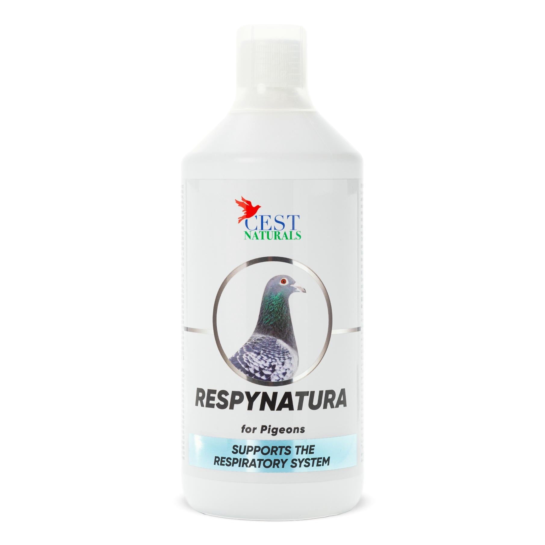 How to Treat Respiratory Infection in Birds: Effective Care Tips