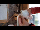 Cest TKK Plant - All-Natural Solution for Pigeon Diseases