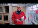 Cest Vit Amino Plus - Vitamins & Amino Acids for Pigeons