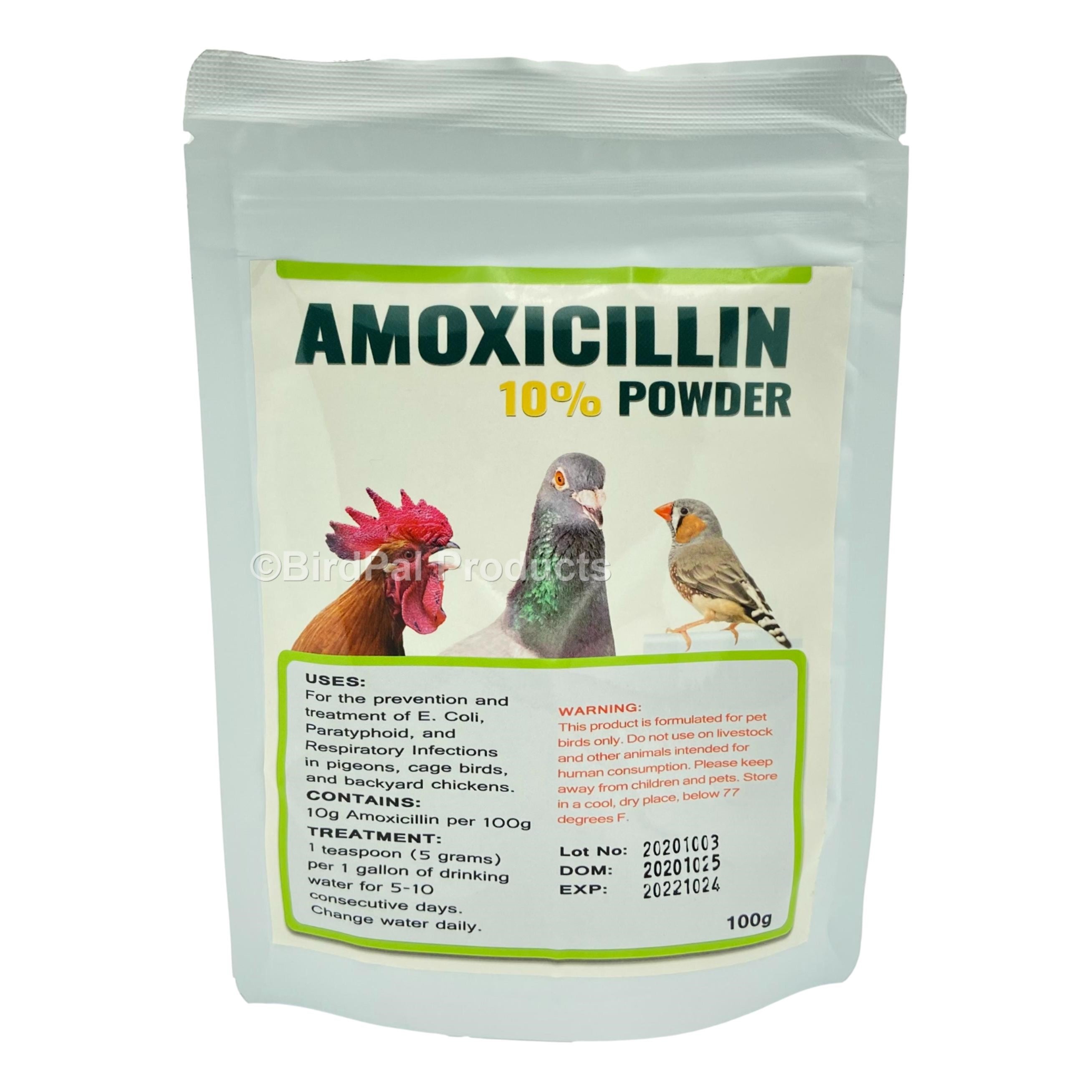 Amoxicillin Powder Pigeons Medicine BirdPal