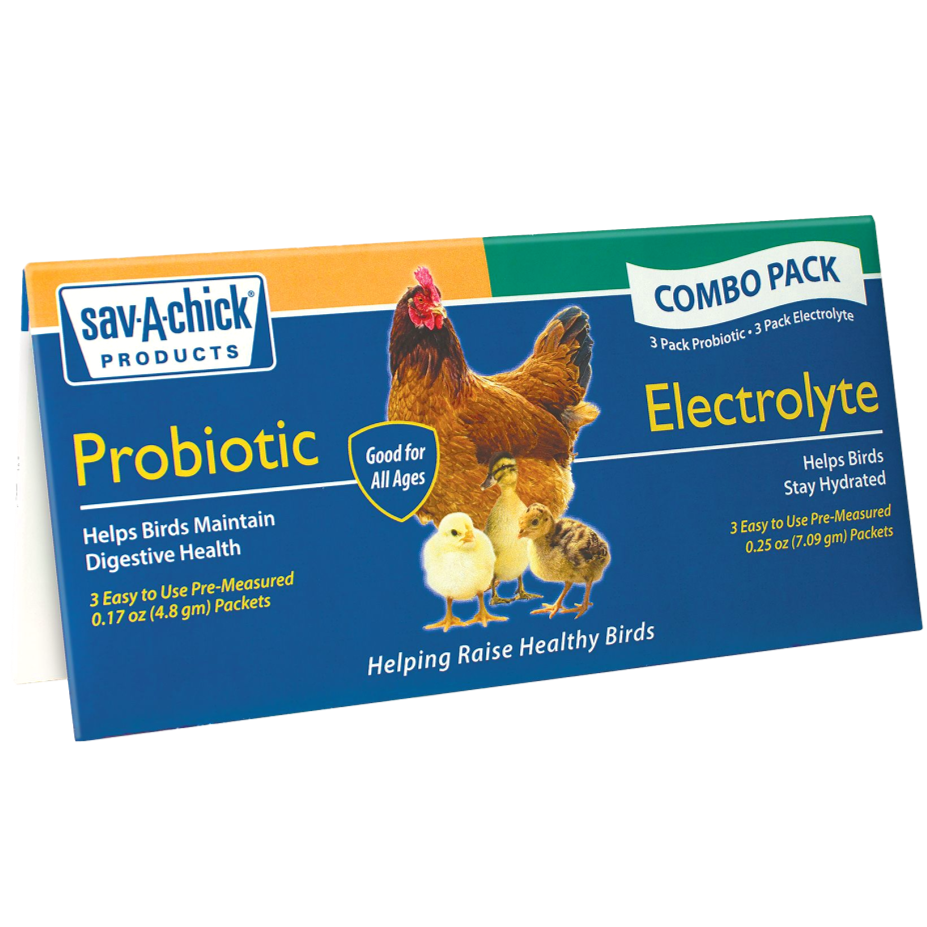 Beautiful view of Baby Chick Probiotic Supplement Dosage