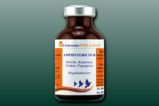 b12 injections for roosters BirdPal Products- Liquid Vitamin B-12 Super Concentrated b12 injections for roosters BirdPal Products- Liquid Vitamin B-12 Super Concentrated