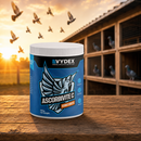A white tub of VYDEX Ascorbinite C vitamin and immune booster for birds sits on a wooden table in front of a pigeon loft scene with pigeons and flying birds at sunset.