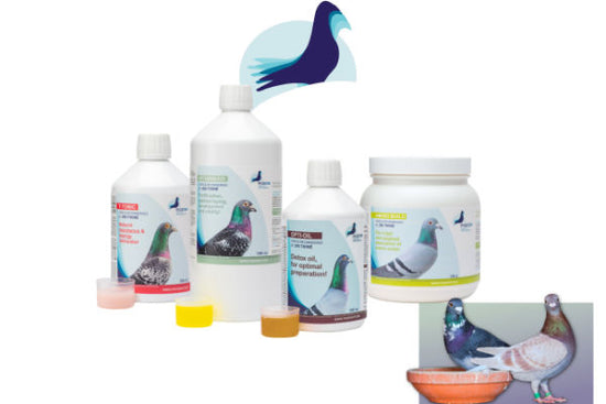 bpc-157 peptide pill vs injection bpc 157 pills vs injection Stable Gastric Pentadecapeptide BPC 157 as Therapy After Surgical Detachment of bpc-157 peptide pill vs injection bpc 157 pills vs injection Stable Gastric Pentadecapeptide BPC 157 as Therapy After Surgical Detachment of