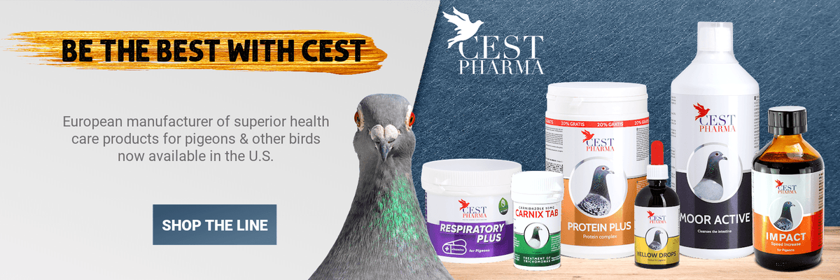Cest Pharma products for pigeons and chickens homepage banner.