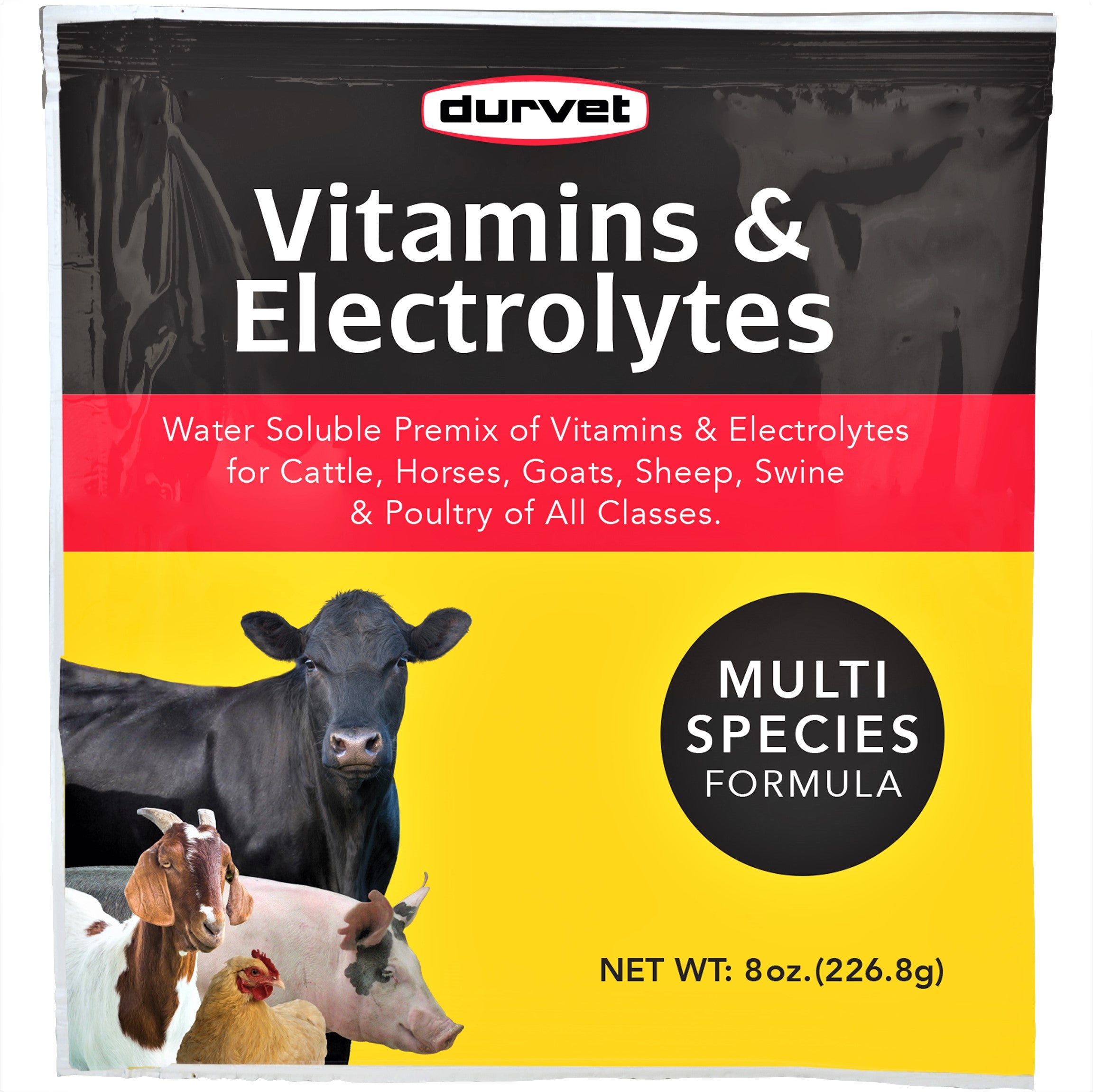 Gallo Fuerte Vitamins & Electrolytes Supplement For Poultry & Gamebirds - 3.5oz Poultry Health Boost