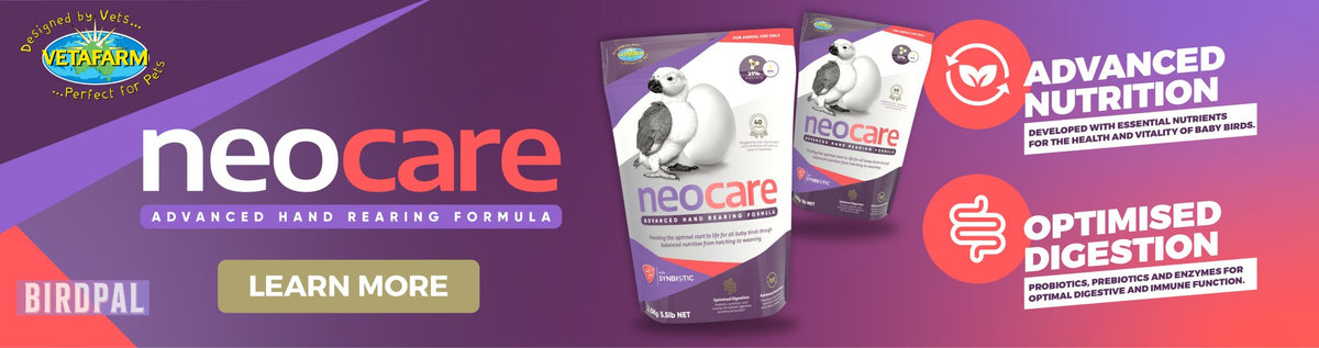 Neocare advanced hand feeding formula for birds, pigeons, finches, and parrots made by Vetafarm. Better than Exact baby bird formula. 