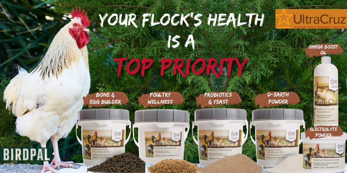 UltraCruz Poultry and backyard chicken Supplements at Birdpal Products.