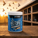 A white tub of VYDEX Ascorbinite C vitamin and immune booster for birds sits on a wooden table in front of a pigeon loft scene with pigeons and flying birds at sunset.