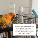 Avicare - Cage & Loft Disinfectant
