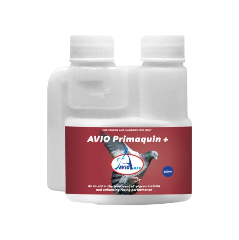Avio Med Primaquin+ - Malaria Treatment for Birds