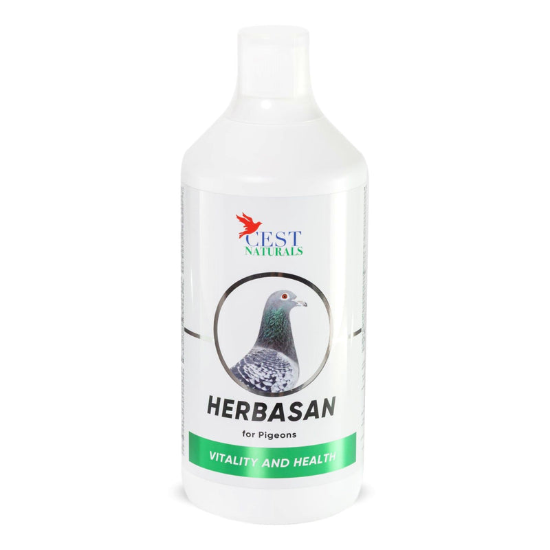 Cest Herbasan - Enhances Immune & Digestive System Naturally