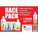 Cest Race Pack - The Complete Pigeon Racing Kit