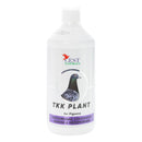 Cest TKK Plant - All-Natural Solution for Pigeon Diseases