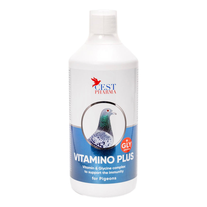 Cest Vit Amino Plus - Vitamins & Amino Acids for Pigeons