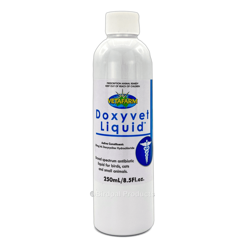 Doxyvet Liquid for Birds, Dogs, Cats & Rats