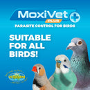 MoxiVet Plus - Moxidectin + Praziquantel Parasite Control for Birds