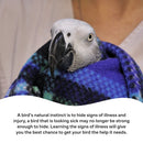 Poly-Aid Plus for Birds - First Aid Supplement