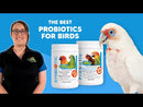 Probiotic Powder for Cage Birds & Chickens - Gut Flora Support
