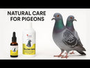 Cest Yellow Drops for Pigeons - Eliminates Fungi, Canker, & Bacteria