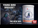 Cest Adenocoli Natura - Young Bird Disease Prevention for Pigeons