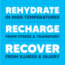 Spark Liquid Concentrate - Electrolytes & Energy