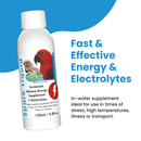 Spark Liquid Concentrate - Electrolytes & Energy