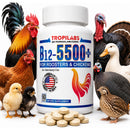 Tropilabs by Farmalab B12-5500+ for Chickens & Other Poultry