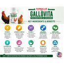 Tropilabs by Farmalab Gallovita Multivitamin for Roosters & Chickens