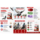 Tropilabs by Farmalab Xemodrom B12 for Pigeons