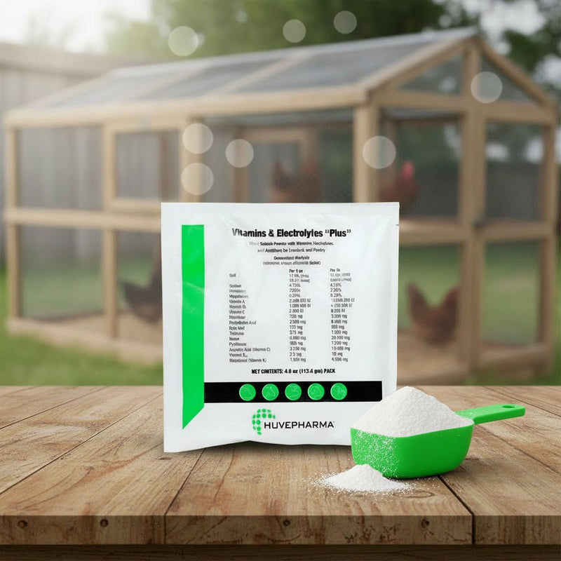 Vitamins & Electrolytes Plus - w/ Acidifiers and Probiotics - BirdPal Avian Products