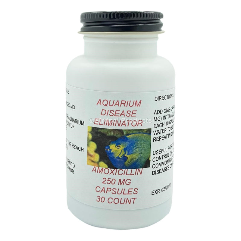 Amoxicillin Capsules for Birds - 250 mg