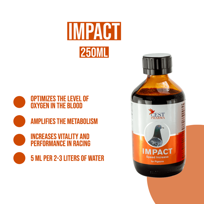 Cest Impact- High Energy Tonic for Pigeon Racing & Breeding - BirdPal Avian Products, Inc.