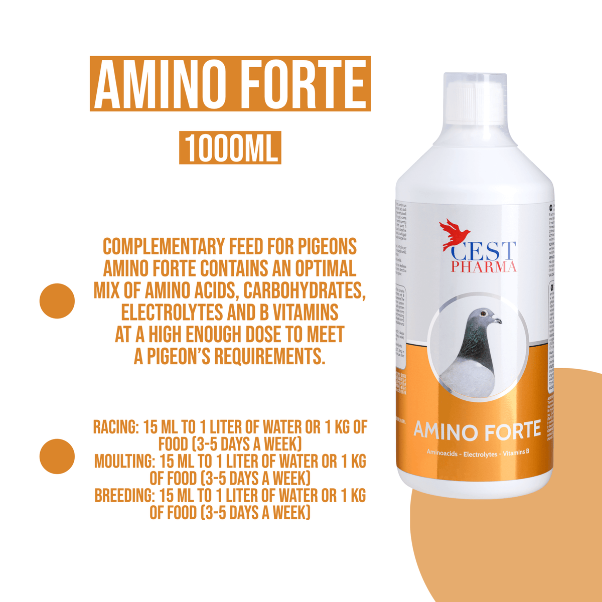 l carnitine for racing pigeons Cest Pharma Amino Forte