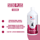 Cest Sedo Plus for Pigeons - Increases Energy & Liver Function - BirdPal Avian Products, Inc.