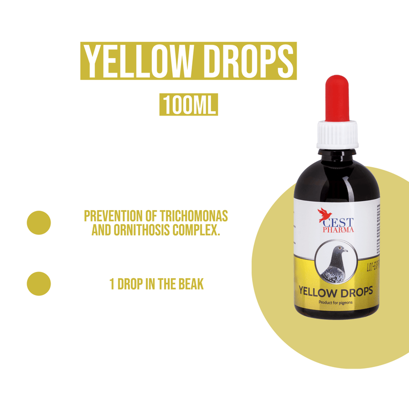 Cest Yellow Drops for Pigeons - Eliminates Fungi, Canker, & Bacteria - BirdPal Avian Products, Inc.