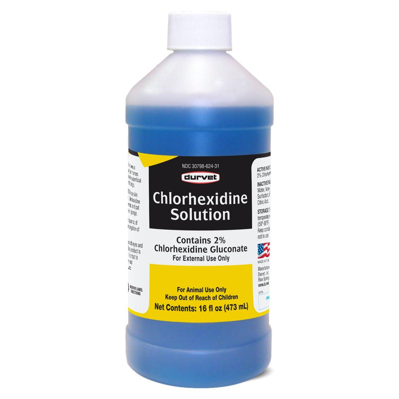 Chlorhexidine Solution Disinfectant (Generic Nolvasan) - 16 oz - BirdPal Avian Products