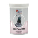 Gluca Cest for Pigeons - General Tonic for Recovery