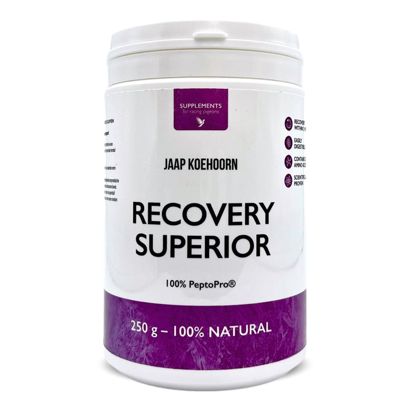 Jaap Koehoorn Recovery Superieur - Rapid Recovery for Racing Pigeons