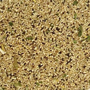 Kaylor Sweet Harvest Canary Food- 4 lbs - BirdPal Avian Products