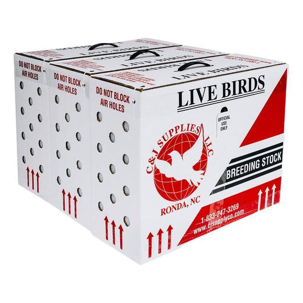 The Bird Box High for Shipping Live Birds - USPS Approved