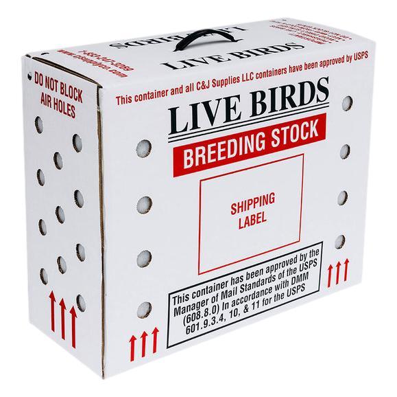 The Bird Box High for Shipping Birds - USPS Approved - BirdPal Avian Products, Inc.