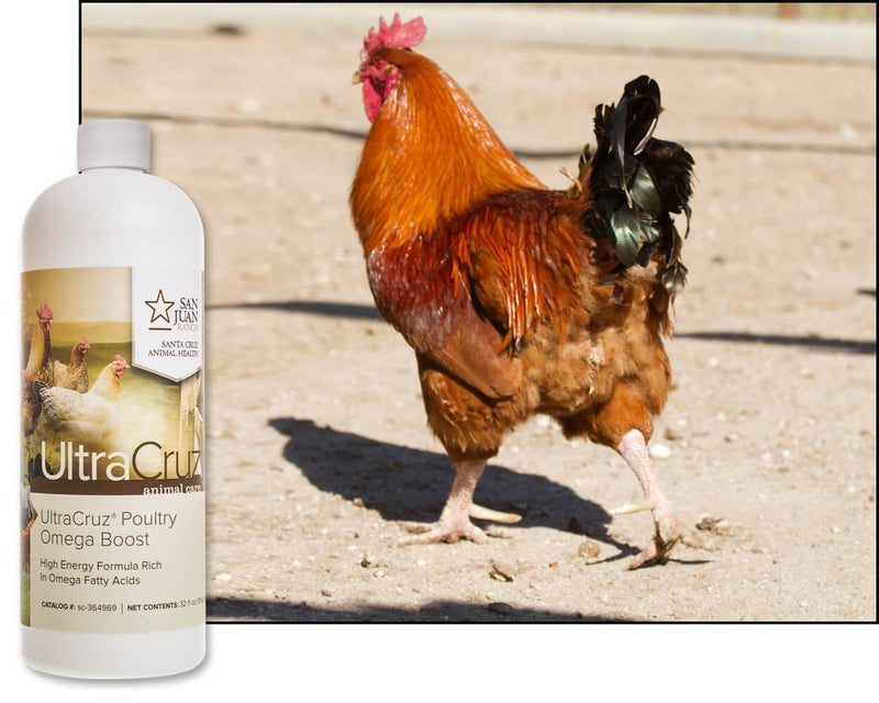 UltraCruz Poultry Omega Boost Oil w/ Vitamin E - 32oz - BirdPal Avian Products, Inc.